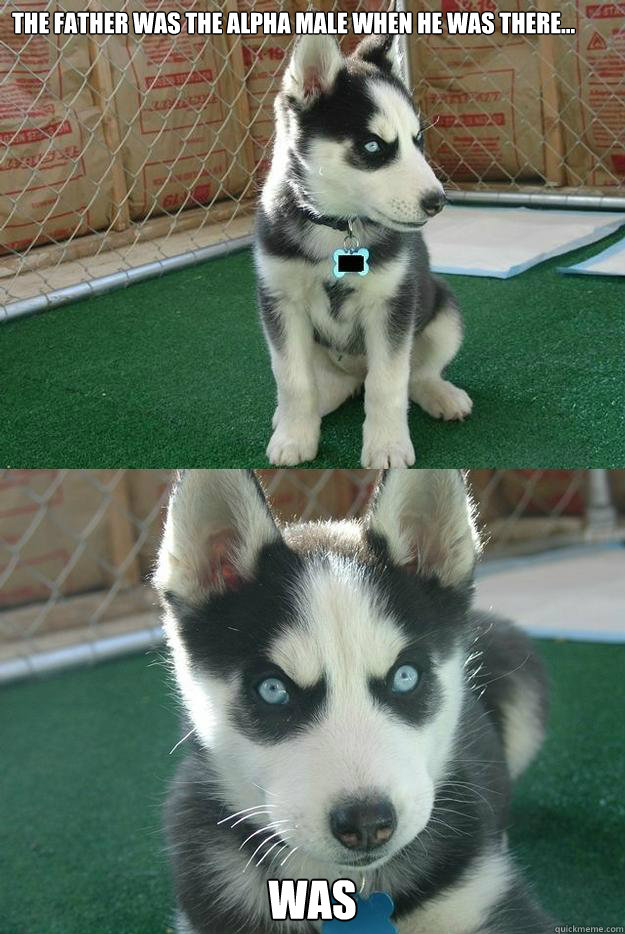 The father was the alpha male when he was there... WAS  Insanity puppy