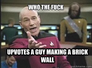 Who the fuck Upvotes a guy making a brick wall  Annoyed Picard