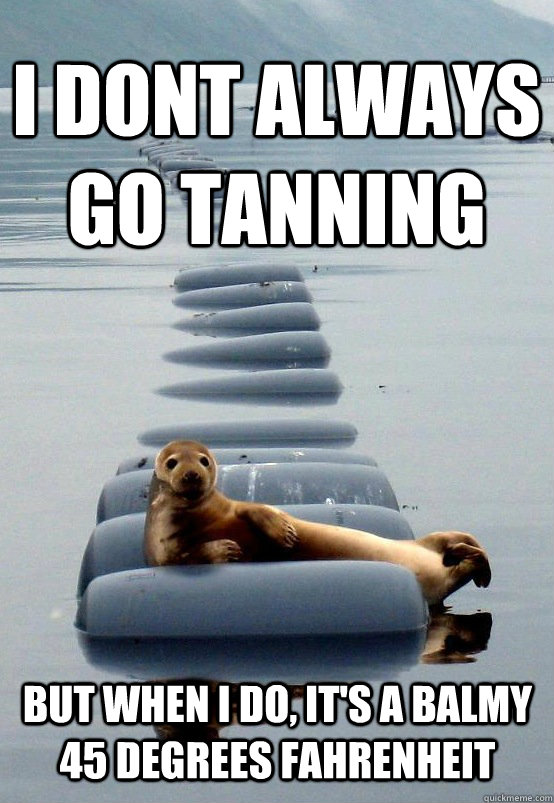 I dont always go tanning But when I do, it's a balmy 45 degrees Fahrenheit  Sun Tan Seal