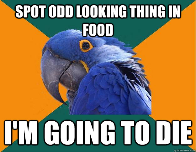 Spot odd looking thing in food I'm going to die  Paranoid parrot flat tire