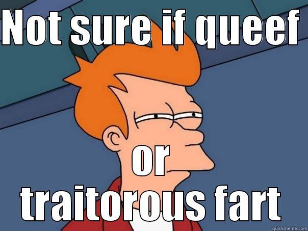 NOT SURE IF QUEEF  OR TRAITOROUS FART Futurama Fry