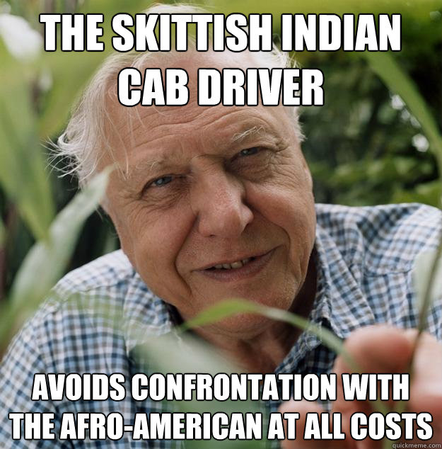 The skittish Indian cab driver avoids confrontation with the Afro-American at all costs  