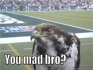 Seahawk funny -  YOU MAD BRO?            Misc