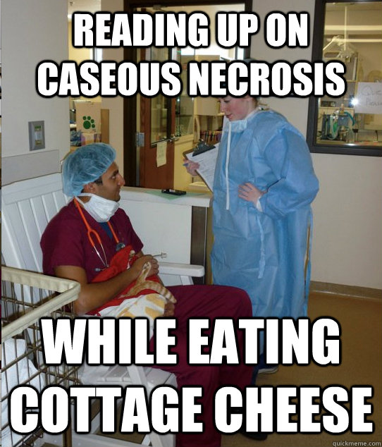reading up on caseous necrosis while eating cottage cheese  Overworked Veterinary Student