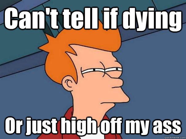 Can't tell if dying Or just high off my ass  Futurama Fry