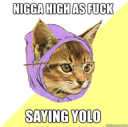 Nigga high as fuck  saying YOLO  Hipster Kitty