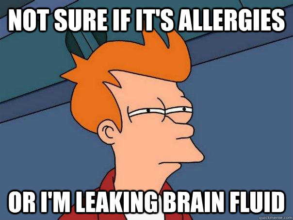 Not sure if it's allergies or i'm leaking brain fluid  Futurama Fry