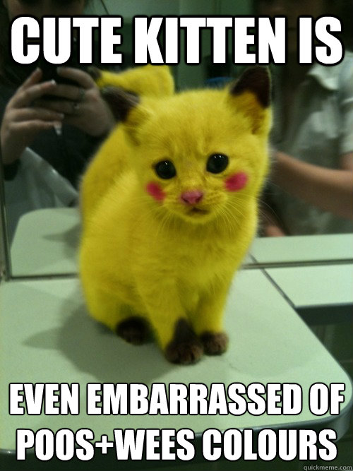 Cute kitten is even embarrassed of
Poos+Wees colours - Cute kitten is even embarrassed of
Poos+Wees colours  Cheer up