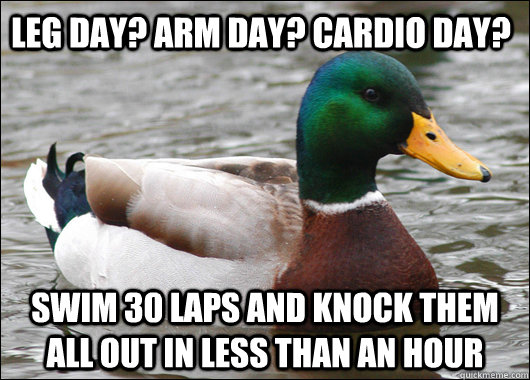 Leg Day? Arm day? Cardio Day? Swim 30 laps and knock them all out in less than an hour  Actual Advice Mallard