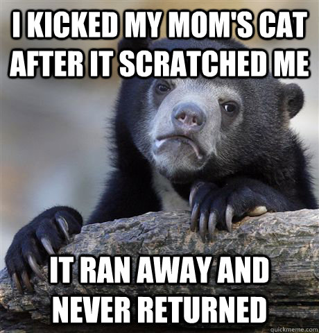 I kicked my mom's cat after it scratched me It ran away and never returned  Confession Bear