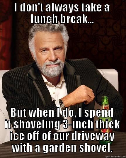 I DON'T ALWAYS TAKE A LUNCH BREAK... BUT WHEN I DO, I SPEND IT SHOVELING 3-INCH THICK ICE OFF OF OUR DRIVEWAY WITH A GARDEN SHOVEL. The Most Interesting Man In The World