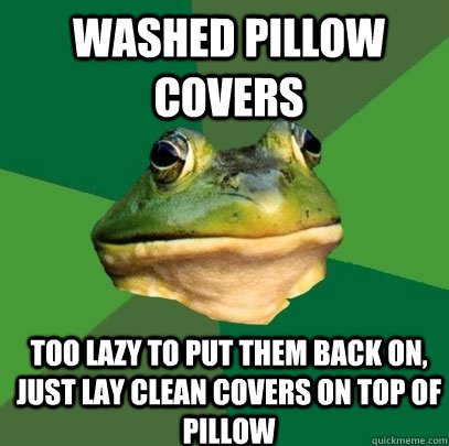 washed pillow covers too lazy to put them back on, just lay clean covers on top of pillow  Foul Bachelor Frog