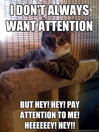 I don't always want attention but hey! hey! pay attention to me! heeeeeey! HEY!!  The Most Interesting Cat in the World