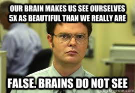 Our brain makes us see ourselves 5x as beautiful than we really are FALSE. brains do not see  Dwight False