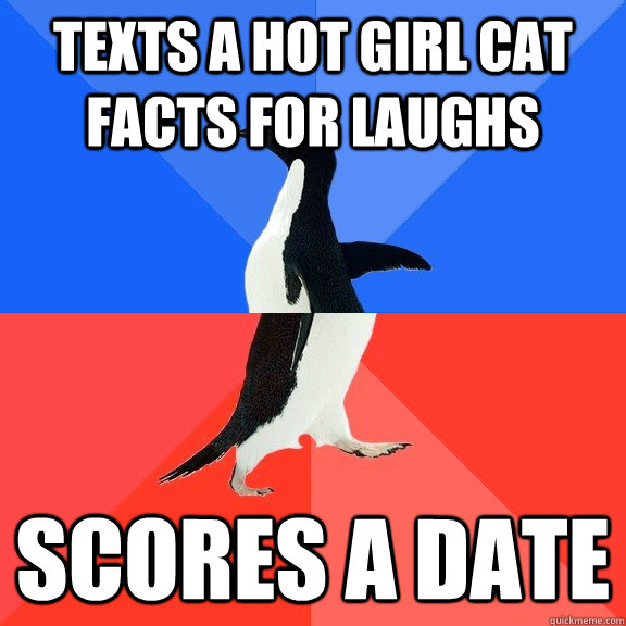 texts a hot girl cat facts for laughs scores a date  Socially Awkward Awesome Penguin