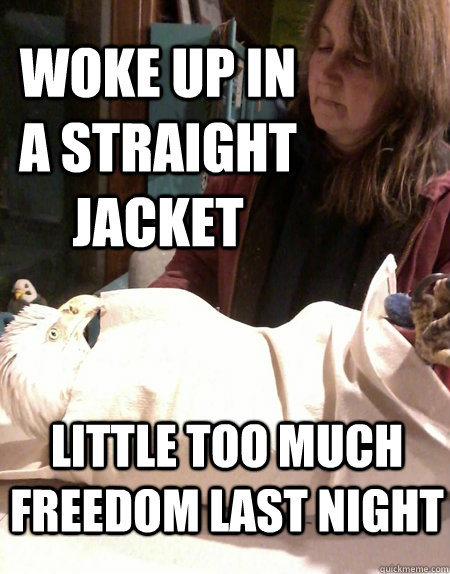 Woke Up in a straight jacket little too much freedom last night - Woke Up in a straight jacket little too much freedom last night  Freedom Eagle Wrapped
