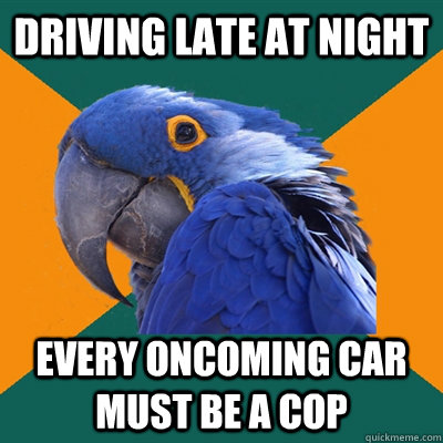 driving late at night every oncoming car must be a cop  Paranoid Parrot