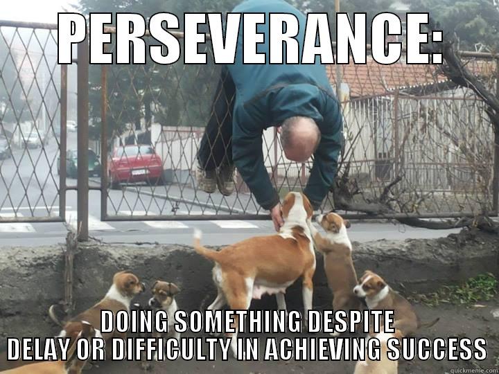 Perseverance Defined -      PERSEVERANCE:      DOING SOMETHING DESPITE DELAY OR DIFFICULTY IN ACHIEVING SUCCESS Misc