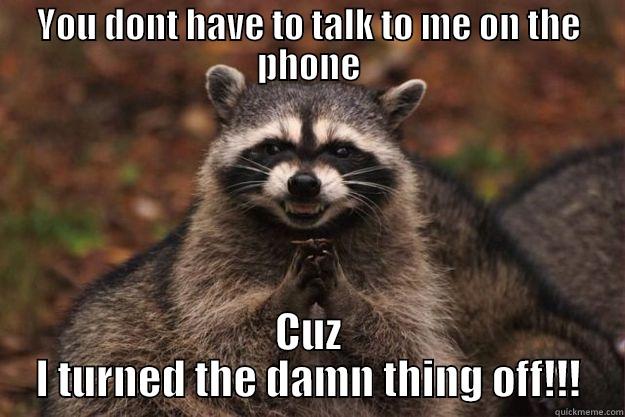 YOU DONT HAVE TO TALK TO ME ON THE PHONE CUZ I TURNED THE DAMN THING OFF!!! Evil Plotting Raccoon