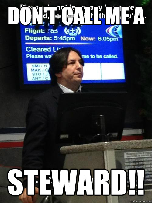 DON'T CALL ME A STEWARD!!  