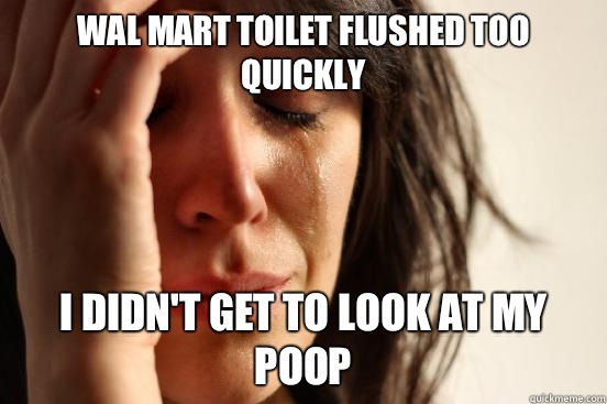 Wal Mart toilet flushed too quickly I didn't get to look at my poop  First World Problems