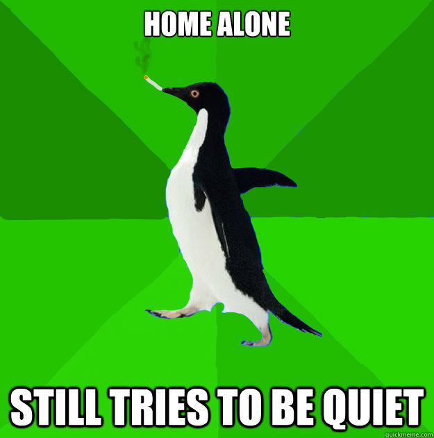 Home alone Still tries to be quiet  Stoner Penguin
