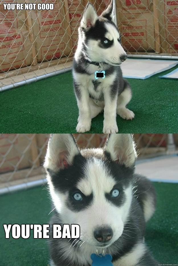 You're not good YOU'RE BAD  Insanity puppy