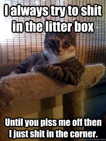 I always try to shit in the litter box Until you piss me off then I just shit in the corner.  The Most Interesting Cat in the World