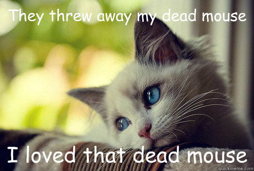 They threw away my dead mouse
 I loved that dead mouse - They threw away my dead mouse
 I loved that dead mouse  First World Problems Cat