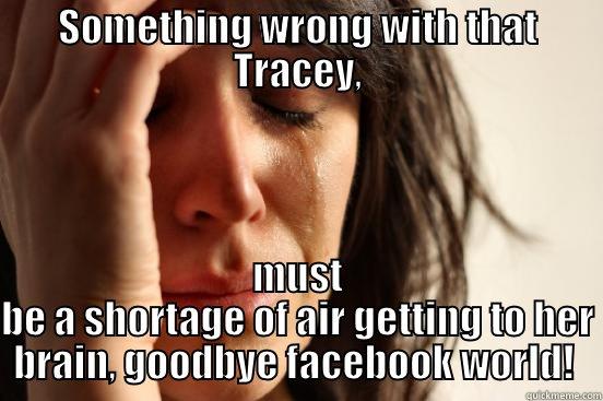 SOMETHING WRONG WITH THAT TRACEY, MUST BE A SHORTAGE OF AIR GETTING TO HER BRAIN, GOODBYE FACEBOOK WORLD!  First World Problems