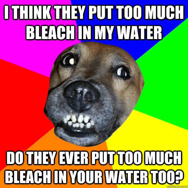 i think they put too much bleach in my water do they ever put too much bleach in your water too?  