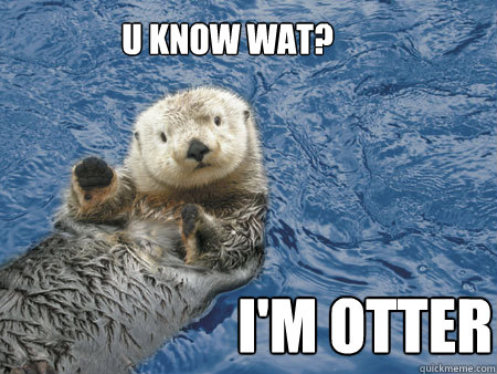 U KNOW WAT? I'M OTTER - U KNOW WAT? I'M OTTER  Hot otter