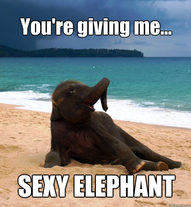 You're giving me... SEXY ELEPHANT  