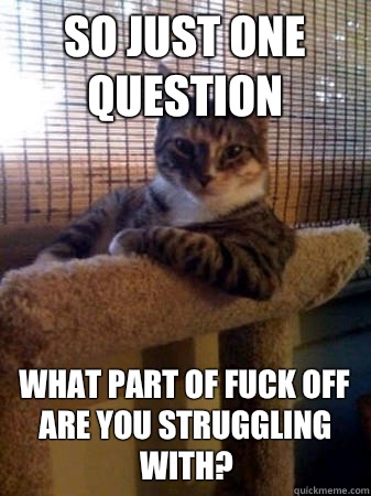 So just one question What part of fuck off are you struggling with?  The Most Interesting Cat in the World