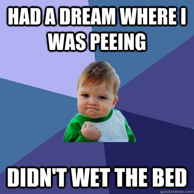 had a dream where i was peeing didn't wet the bed  Success Kid