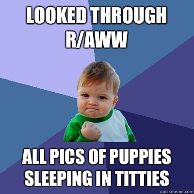 Looked through r/aww  All pics of puppies sleeping in titties  Success Kid