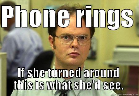 telephone phony - PHONE RINGS  IF SHE TURNED AROUND THIS IS WHAT SHE'D SEE. Schrute