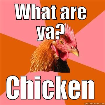 WHAT ARE YA? CHICKEN Anti-Joke Chicken