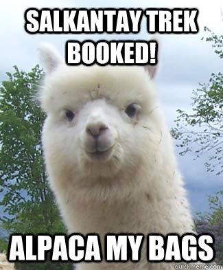 Salkantay trek booked! Alpaca my bags  Alpaca-pun Alpaca