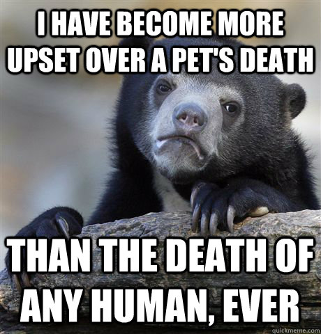 i have become more upset over a pet's death Than the death of any human, ever  Confession Bear
