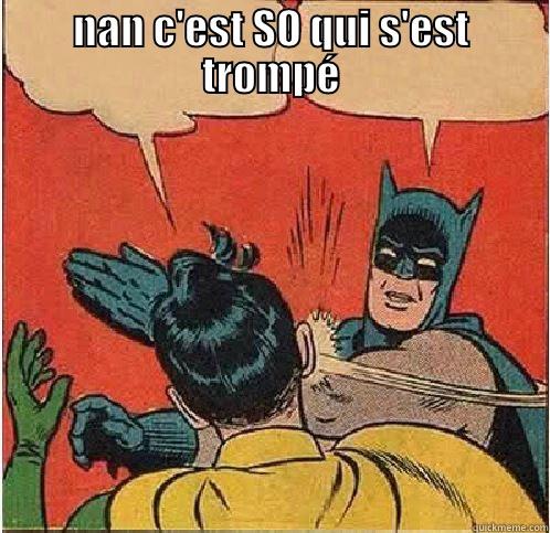 eelv appelle à voter pour la ma.... - NAN C'EST SO QUI S'EST TROMPÉ  Batman Slapping Robin