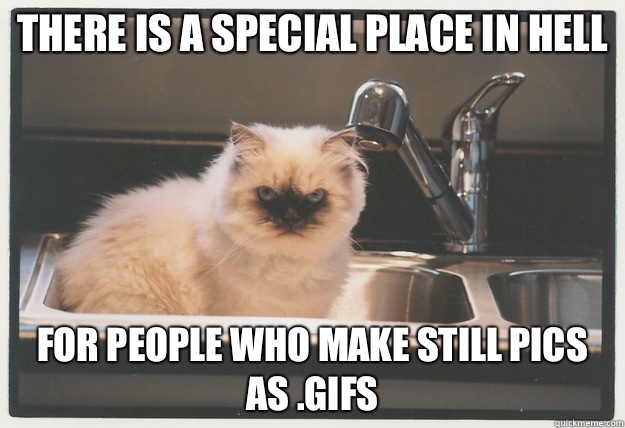 There is a special place in hell For people who make still pics as .gifs  Evil Cat