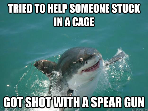 Tried to help someone stuck in a cage got shot with a spear gun  Misunderstood Shark