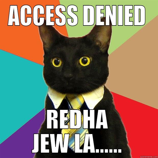 ACCESS DENIED REDHA JEW LA...... Business Cat