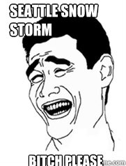 Seattle Snow Storm Bitch please  Yao meme
