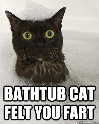 Bathtub Cat Felt You Fart - Bathtub Cat Felt You Fart  Misc