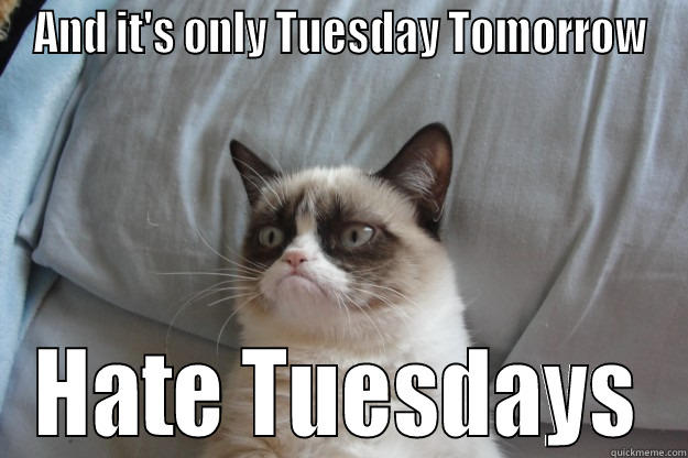 Tuesday Tard - AND IT'S ONLY TUESDAY TOMORROW HATE TUESDAYS Grumpy Cat