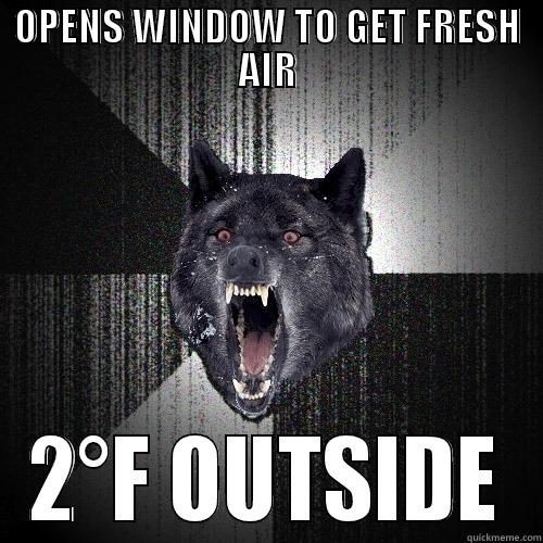 OPENS WINDOW TO GET FRESH AIR 2°F OUTSIDE Insanity Wolf