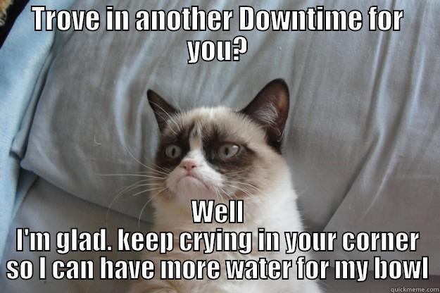 TROVE IN ANOTHER DOWNTIME FOR YOU? WELL I'M GLAD. KEEP CRYING IN YOUR CORNER SO I CAN HAVE MORE WATER FOR MY BOWL Grumpy Cat