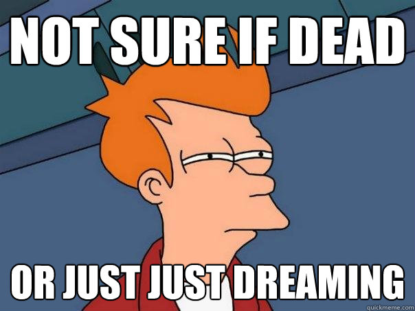 Not sure if dead Or just just dreaming  Futurama Fry